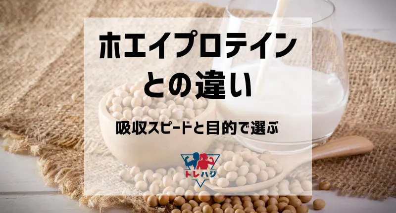 ホエイプロテインとソイプロテインの違いを比較