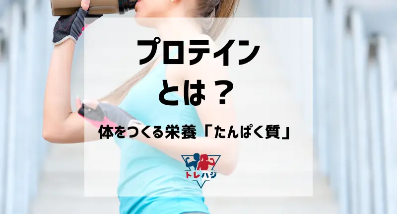 体をつくる栄養「たんぱく質」