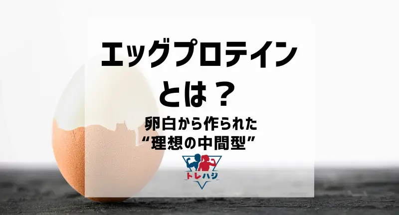 エッグプロテインとは？ 卵白から作られた“理想の中間型”プロテイン（見出し用タイトル画像）